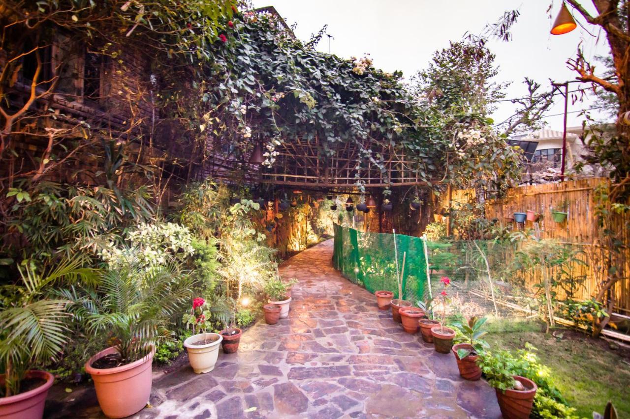 Divine Ganga Cottage Rishīkesh Exteriör bild